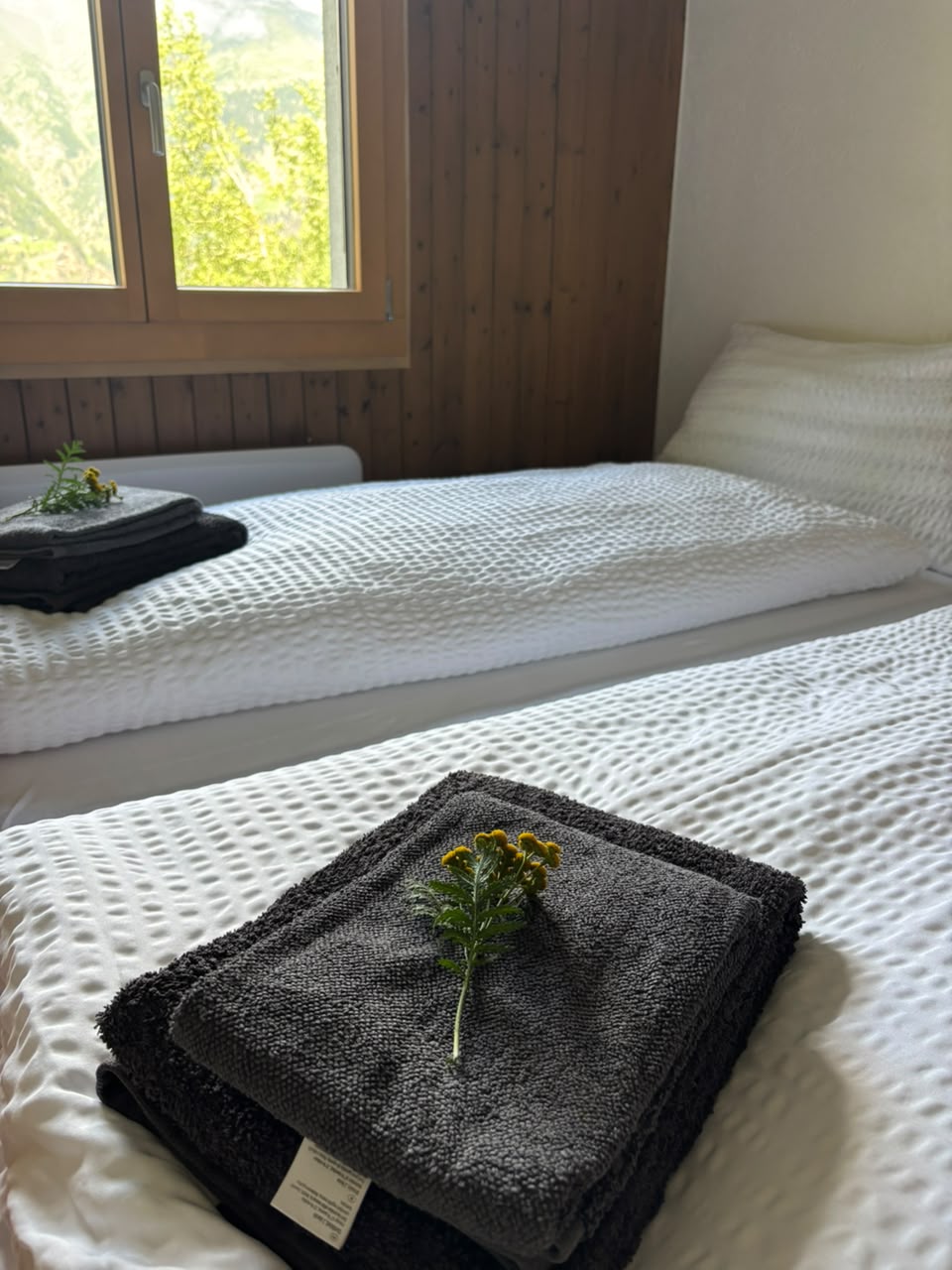 Chalet Harmonie – Aufnahme 05